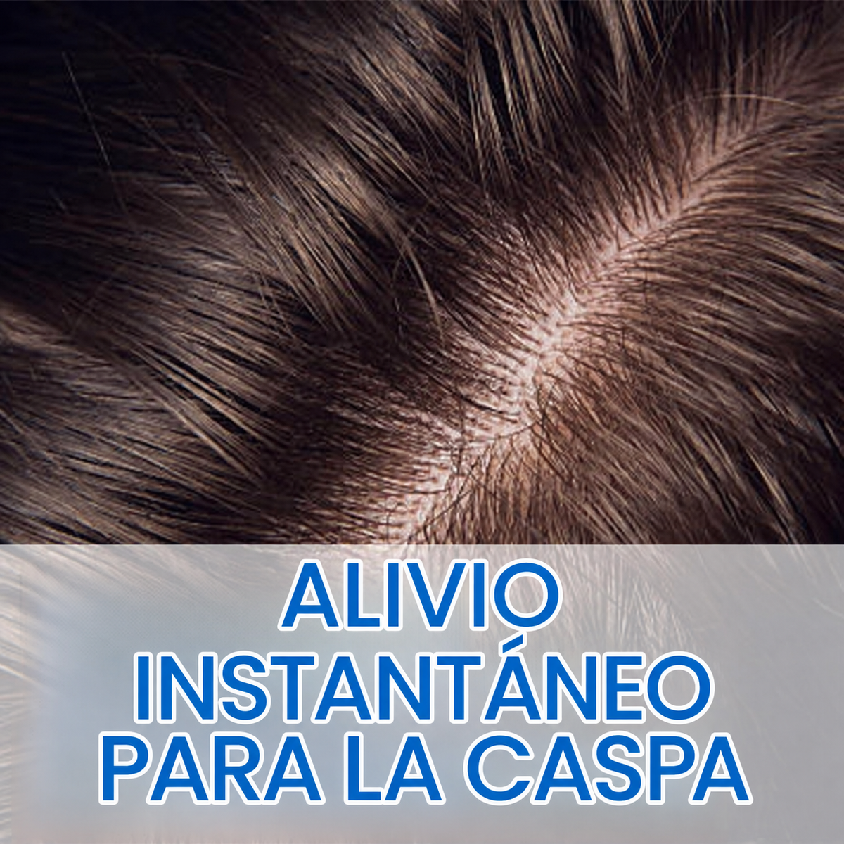 NIPPORI SHAMPOO ANTICASPA Y ANTICAÍDA